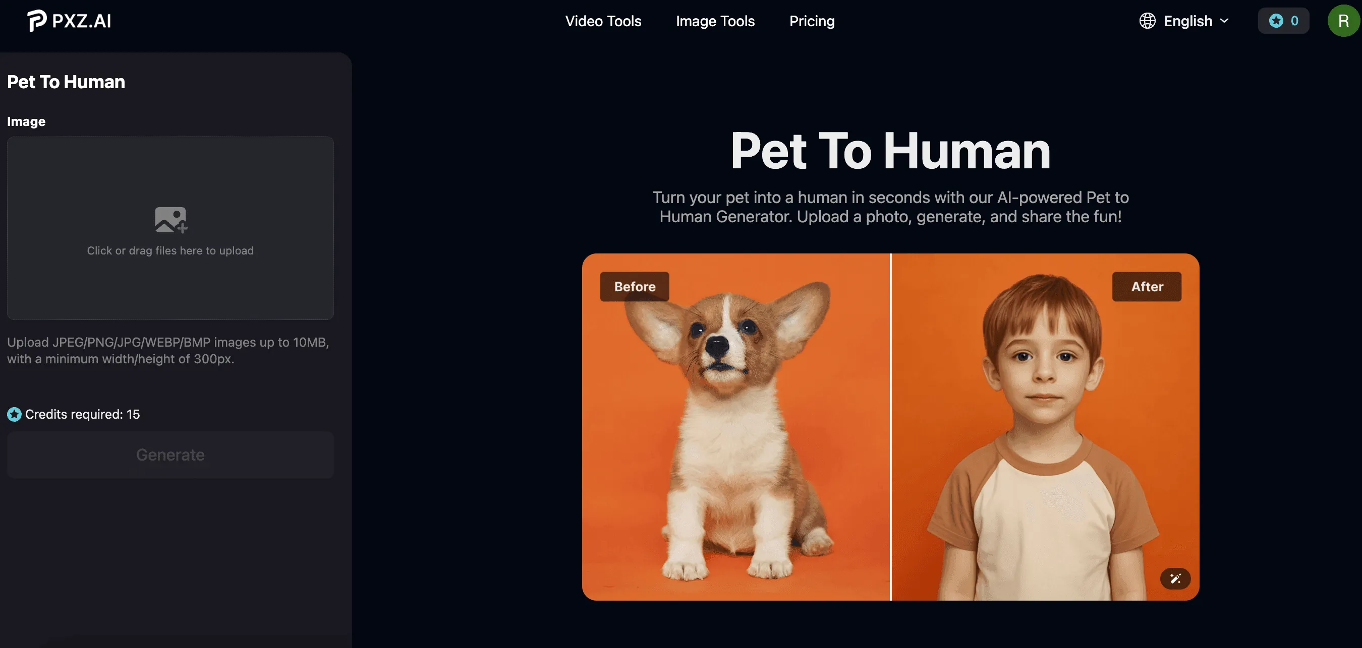 pet to human generator interface